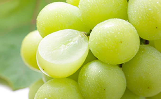 限定 数量 定期便 2回 桃 シャインマスカット 2026年 発送 フルーツ 夏のフルーツ定期便 果物 もも モモ マスカット デザート 朝倉 ※配送不可 離島