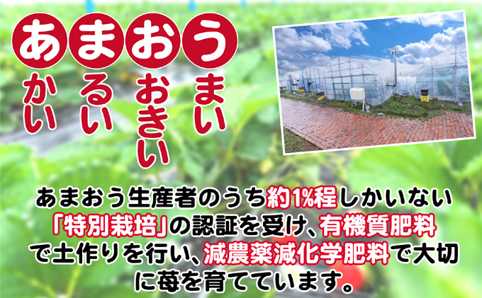 定期便 3ヶ月 いちご あまおう 400g 特選 あまおう 2026年2月より発送 イチゴ 苺 フルーツ 果物 デザート 3回 お楽しみ ※配送不可：離島