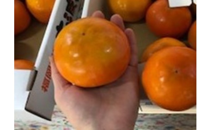 柿 志波 富有柿 冷蔵 約3kg 11～12玉 配送不可 離島 果物類 かき