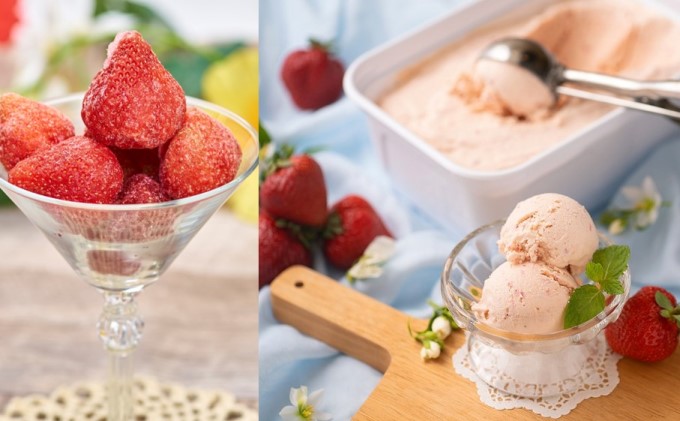 定期便12回 あまおう（いちご）バラエティーセット※配送不可：離島