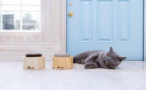 ペットフード ボウル：あめ色