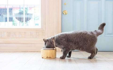 ペットフードボウル：白色