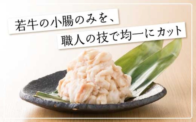 定期便 6回 もつ鍋 博多もつ鍋 おおやま しょうゆ味 3人前 
