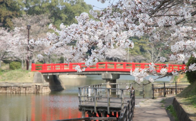 福岡県朝倉市　日本旅行　地域限定旅行クーポン90,000円分 チケット