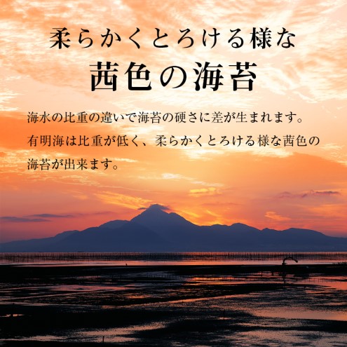 訳あり 福岡有明のり 海苔 福岡有明海産 焼き海苔 合計104枚 2切 8枚×13袋 有明 のり 焼海苔 訳アリ 乾燥 海藻 小分け ごはんのお供