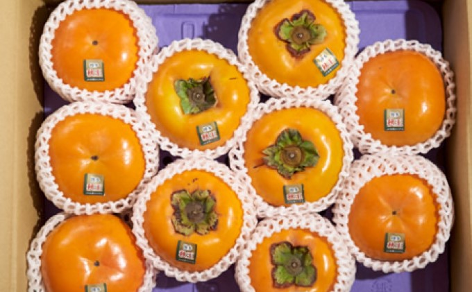 柿 秋王 あきおう 約3kg箱 8～12玉 配送不可 離島