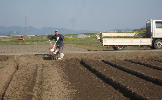 米 2kg 季節野菜 セット 玄米 ゆめつくし