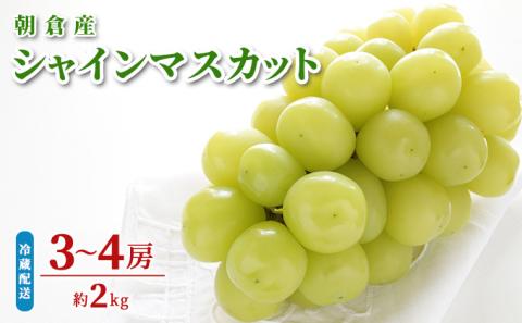 シャインマスカット ぶどう 約2kg 初恵のぶどう園 配送不可 離島