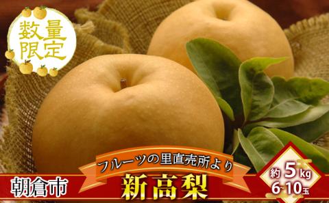 フルーツの里の直売所より 新高梨 5kg
