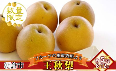 フルーツの里の直売所より 王秋梨 5kg