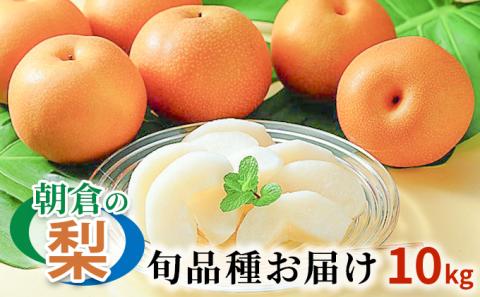 梨 季節の朝倉の梨 10kg 12-36玉 配送不可 離島