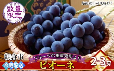 フルーツの里の直売所より ピオーネ 果物 ぶどう ※配送不可：離島