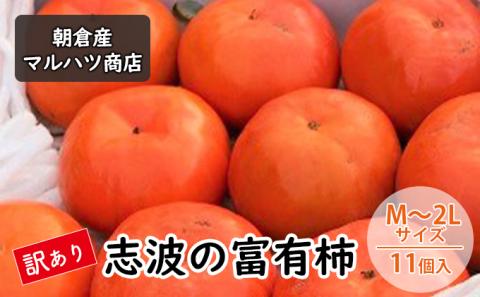 訳あり 柿 志波の富有柿 M～2Lサイズ×11個入 マルハツ商店 果物類 かき