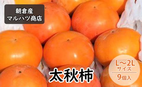 柿 太秋柿 L～2Lサイズ×9個入 マルハツ商店 配送不可：離島