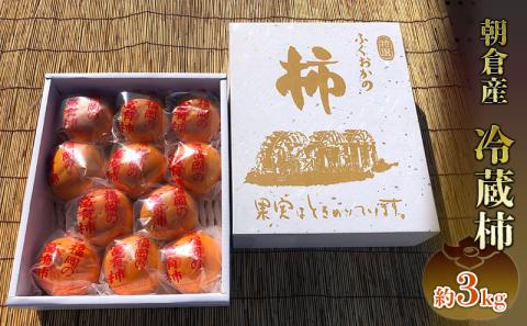 冷蔵 柿 約3kg 正箱入り フルーツ 果物 デザート かき カキ (有)ティース 配送不可：沖縄・離島