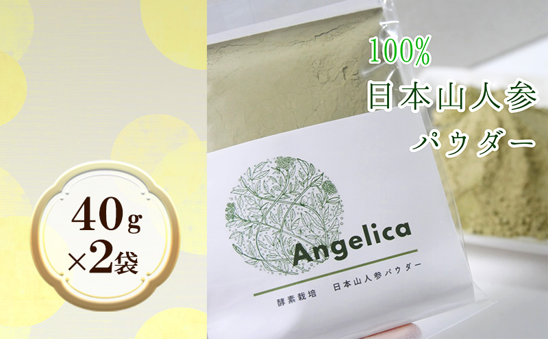 ★希少★日本山人参（葉と茎の粉末） 2袋