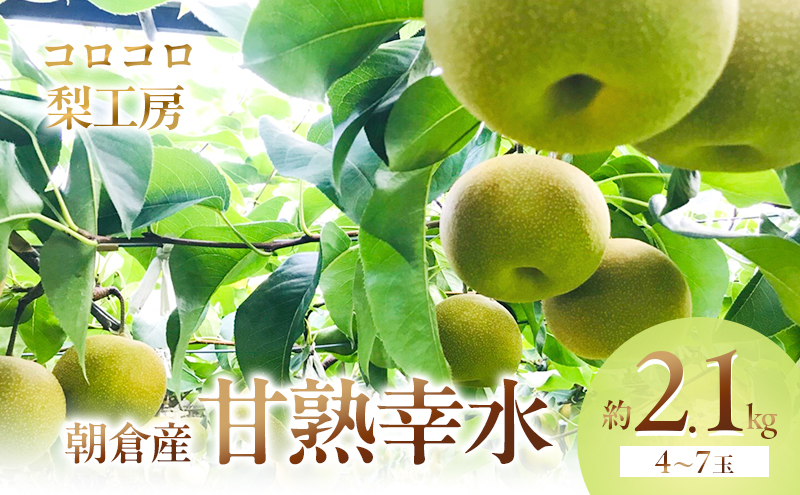 梨 幸水 まるで食べる梨ジュース！！甘熟 幸水梨 約2.1kg 4～7玉入 配送不可 離島