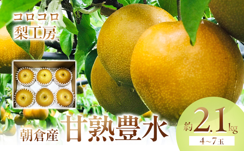 梨 豊水 まるで食べる梨ジュース！！ 甘熟 豊水梨 約2.1kg 4～7玉入 配送不可 離島
