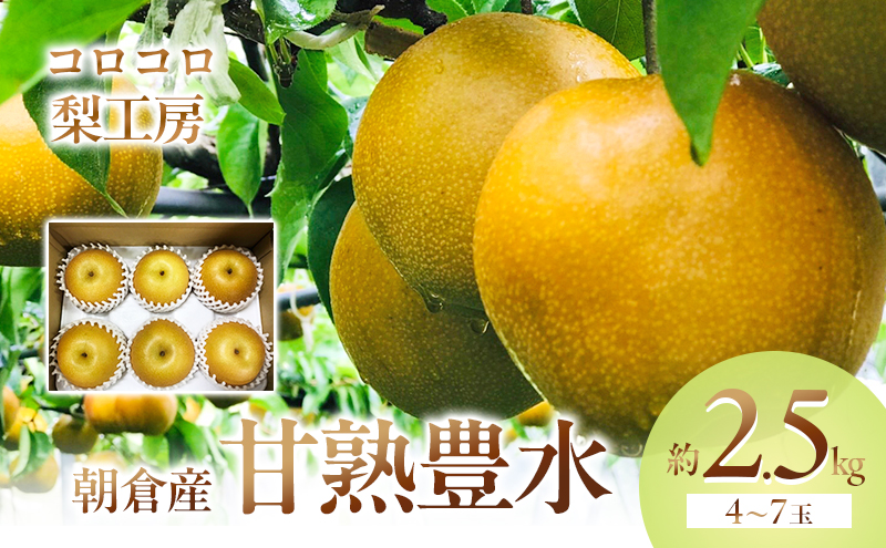 梨 豊水 まるで食べる梨ジュース！！ 甘熟 豊水梨 約2.5kg 4～7玉入 配送不可 離島