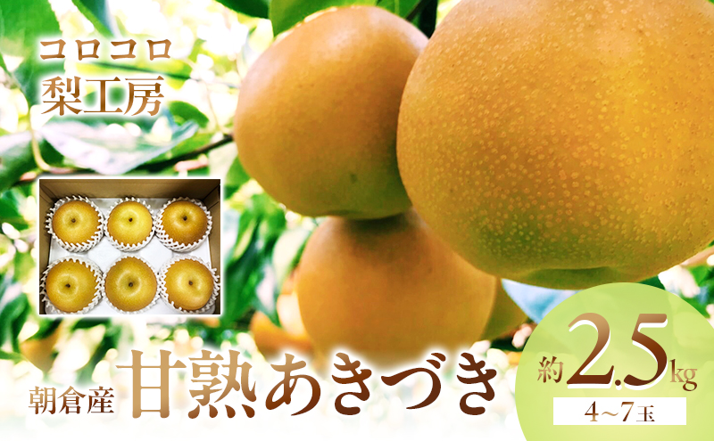 梨 あきづき まるで食べる梨ジュース！！甘熟 あきづき梨 約2.5kg 4～7玉入 配送不可 離島