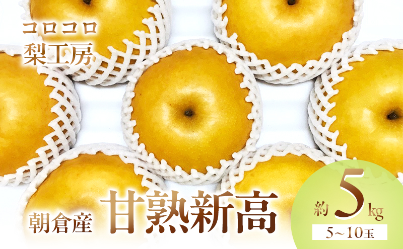 梨 新高梨 甘熟 味に自信あり！！約5kg 5～10玉入 配送不可 離島