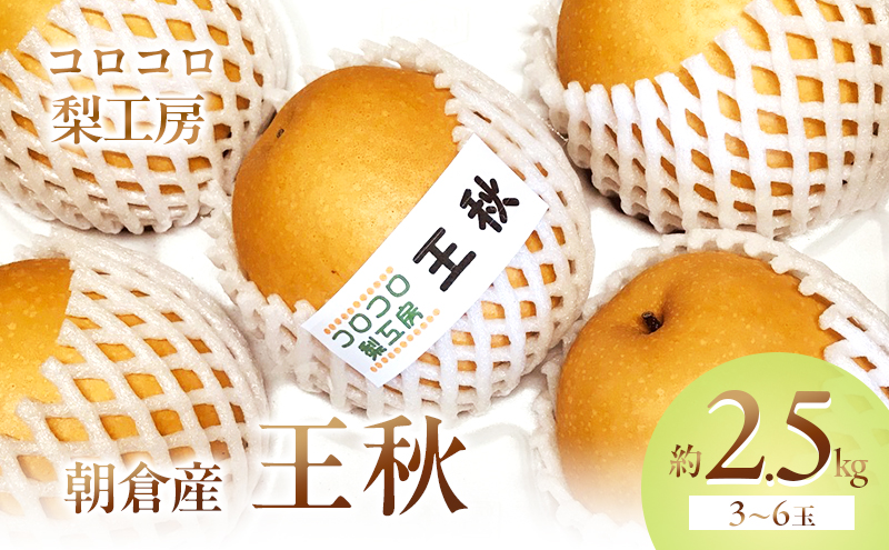 梨 王秋梨 まるで食べる梨ジュース！！約2.5kg 3～6玉入