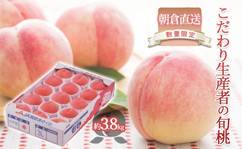 限定 数量 桃 もも モモ 3.8kg 2026年 発送 フルーツ 果物 くだもの デザート 筑前あさくら農協 オンライン決済限定 配送不可 離島