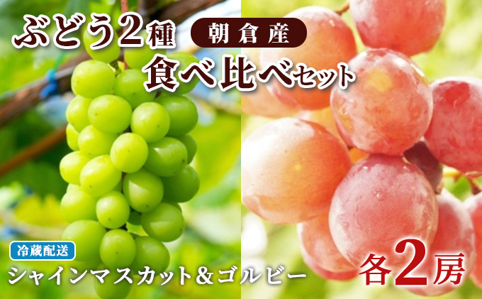 ぶどう シャインマスカット 2房 ゴルビー 2房 食べ比べ 約2kg 配送不可 離島