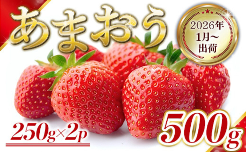いちご 福岡県産 あまおう 500g (250g×2パック) 先行予約 2026年1月より順次発送 果物 デザート ※配送不可：離島