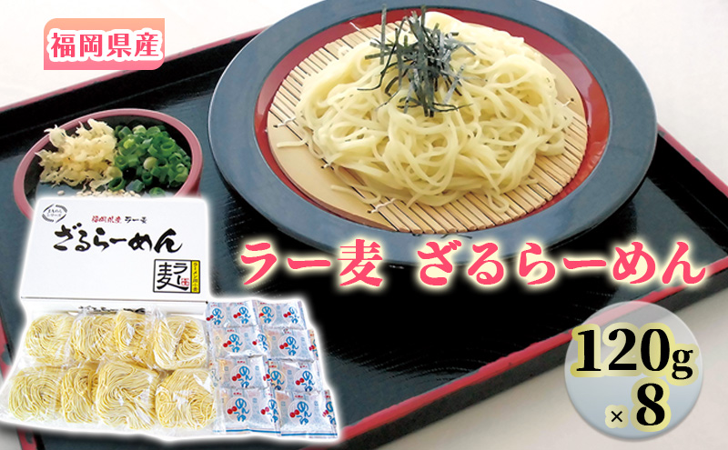 ラーメン 福岡県産 ラー麦 ざるらーめん 1ケース 麺
