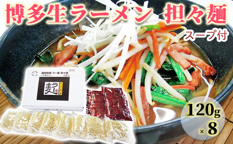 ラーメン ラー麦 博多 生ラーメン 担々麺 1ケース 麺