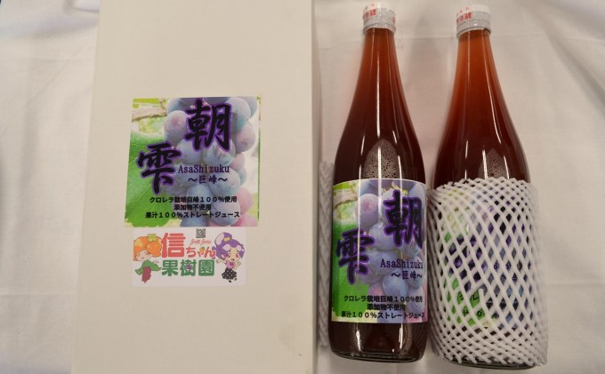 葡萄 農家『信ちゃん果樹園』巨峰 100％ ジュース 2本