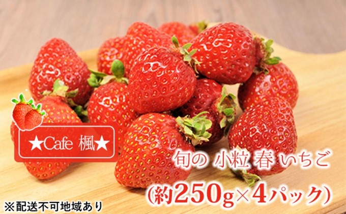 旬の 小粒 春 いちご（約250g×4パック）★Cafe 楓★【配送不可：北海道・東北・沖縄・離島】