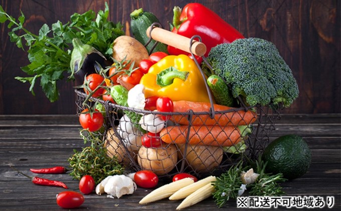 旬の野菜と【巨峰】のふるさとパック【エコ・ファーム楽々園】※配送不可：離島