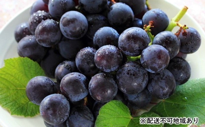 巨峰 2kg【エコ・ファーム楽々園】※配送不可：離島