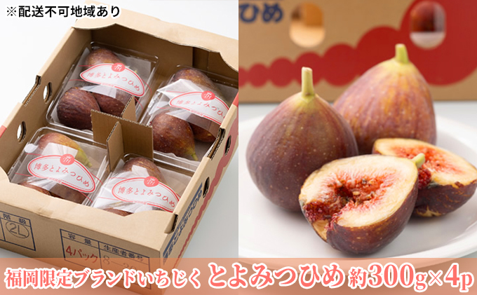 いちじく とよみつひめ 福岡限定 ブランド 約300g×4パック 配送不可 北海道 東北  沖縄 離島