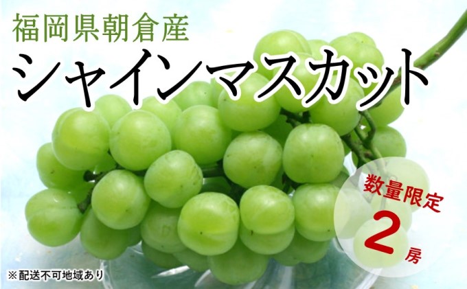 シャインマスカット 2房 化粧箱（約1～1.2kg）★(有)ティース【配送不可：沖縄・離島】 果物類 ぶどう ブドウ フルーツ