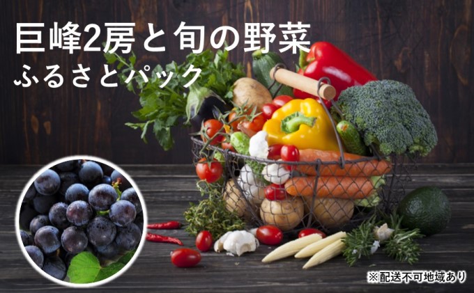巨峰2房と旬の野菜のふるさとパック【配送不可：離島】