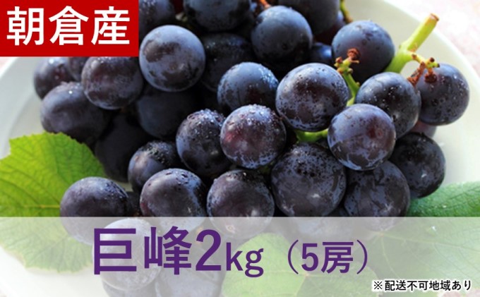 巨峰 2kg（5房入）※配送不可：離島