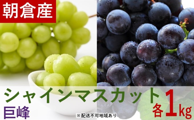 シャインマスカット1kgと巨峰1kgセット【配送不可：離島】