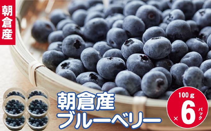 完熟 ブルーベリー 約100g×6パック【配送不可：離島】