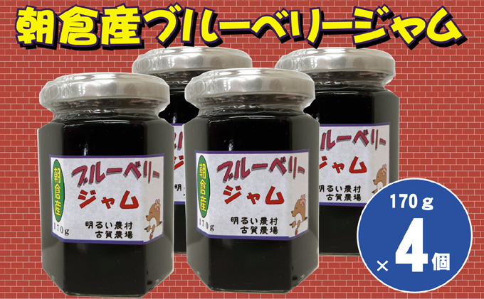ブルーベリージャム 170g×4個