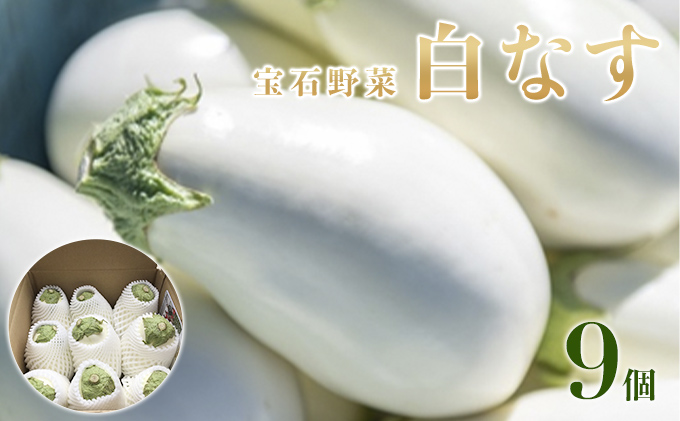なす ナス 白なす 宝石野菜 9個入 茄子