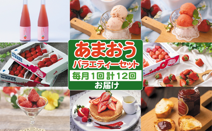 定期便12回 あまおう（いちご）バラエティーセット※配送不可：離島