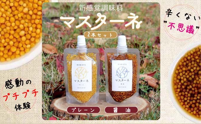 調味料 マスターネ プレーン しょう油 2本セット 100g×各1 マスタード 食べ比べ