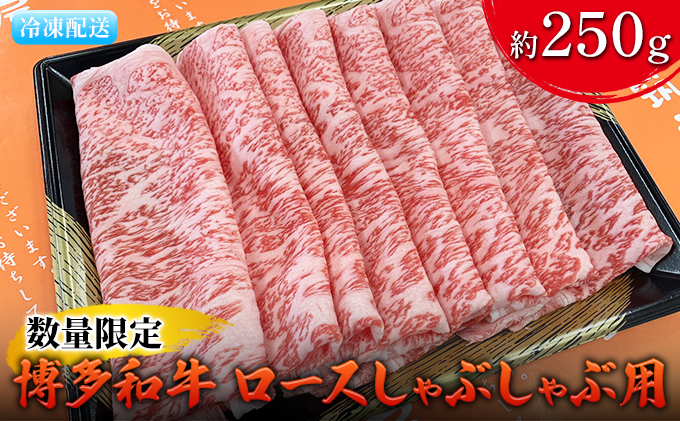 数量限定 牛肉 博多和牛 ロース しゃぶしゃぶ用 約250g 配送不可 離島 お肉 霜降り やわらかい きめ細かい 国産 国産牛 牛しゃぶ 肉料理 食材 食べ物 グルメ