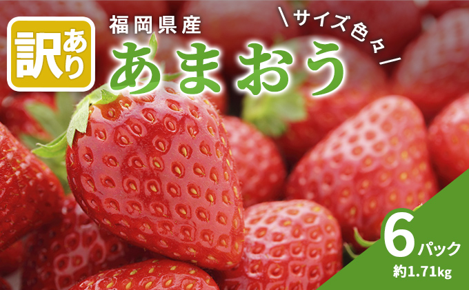 訳あり いちご 2026年2月下旬より発送 あまおう サイズ色々 6パック 約1.71kg 配送不可 離島 果物 フルーツ 福岡県産あまおう