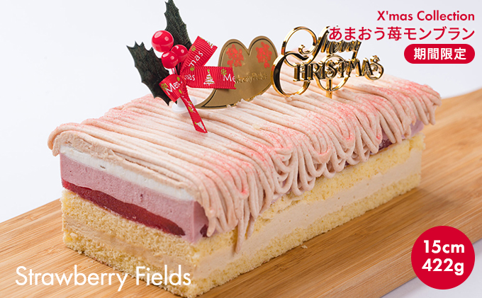 ケーキ 2023年 クリスマス 限定 Strawberry Fields 福岡産 あまおう いちご 苺 モンブラン クリスマスケーキ 配送不可 離島 オンライン決済限定