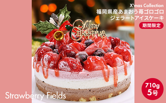 アイス ケーキ  5号 2023年 クリスマス 限定 Strawberry Fields 福岡産 あまおう いちご 苺 ゴロゴロジェラート アイスケーキ お菓子 ジェラート 配送不可 離島