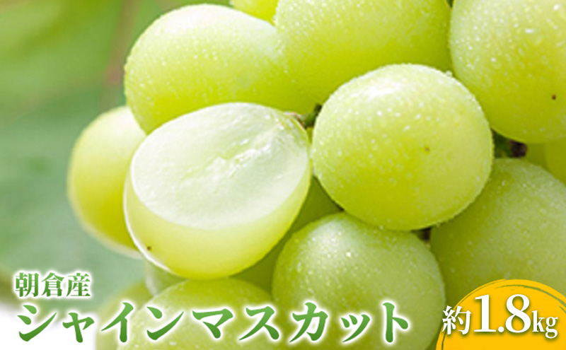 シャインマスカット マスカット ぶどう 1.8kg 2026年 発送 葡萄 ブドウ フルーツ 果物 くだもの デザート 筑前あさくら農協 配送不可 離島